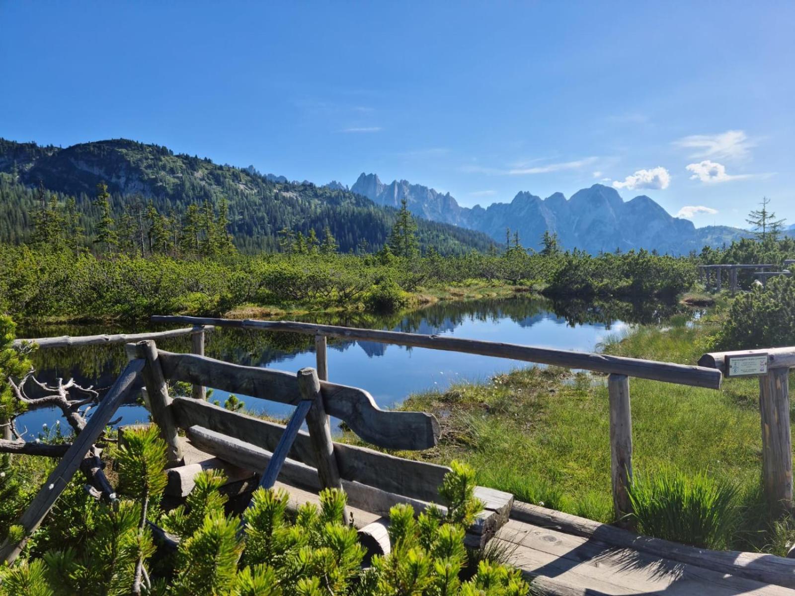 Апартаменты Dangos Mountainview Гозау Экстерьер фото