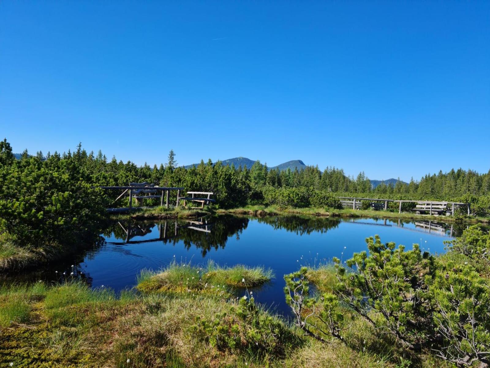 Апартаменты Dangos Mountainview Гозау Экстерьер фото